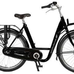 Vélo électrique noir de style hollandais avec porte-bagages avant et arrière.