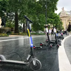 Trottinettes électriques alignées, prêtes à l'emploi. La réglementation sur les trottinettes électriques plus de 25 km/h est un sujet important pour la sécurité.