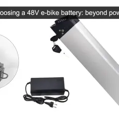 Batterie trottinette électrique 48v argentée, avec chargeur et clé. Un zoom montre son installation.