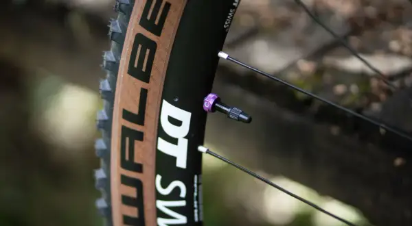 Gros plan sur une roue de vélo DT Swiss avec un pneu marron. La valve est violette, un détail qui fait toute la différence entre presta ou schrader.