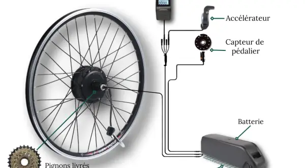 Composants d'un vélo électrique : roue motorisée, écran, accélérateur, capteur de pédalier, batterie et contrôleur.