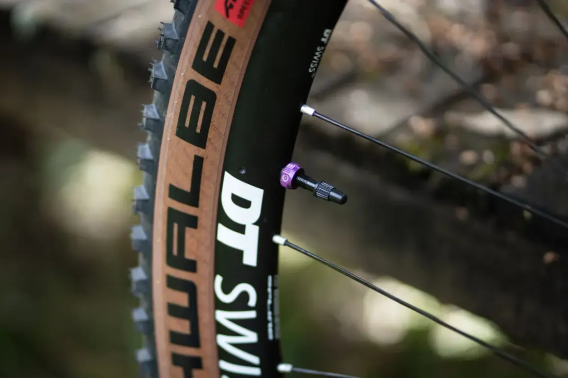 Gros plan sur une roue de vélo DT Swiss avec un pneu marron. La valve est violette, un détail qui fait toute la différence entre presta ou schrader.