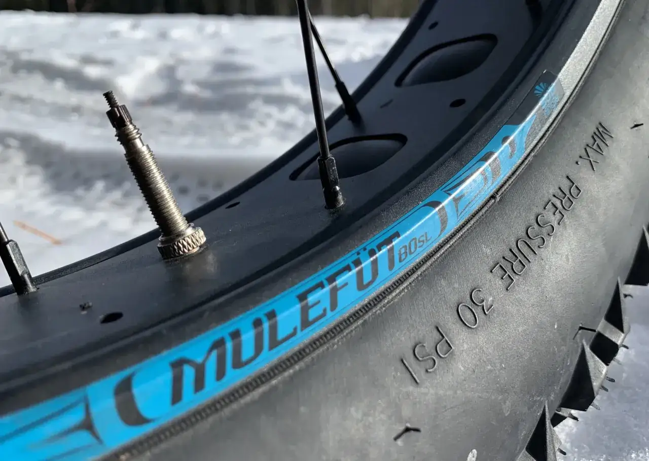 Gros plan sur une valve de pneu de fat bike 20x4. La pression maximale indiquée est de 30 PSI.
